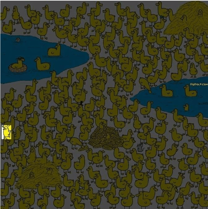 Desafio visual Desenho colorido no dia com muitos patos amarelos e um pintinho escondido no meio deles.