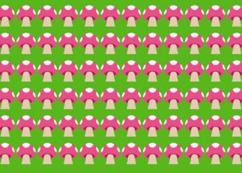 Desafio visual com vários cogumelos rosa em linhas sobre fundo verde