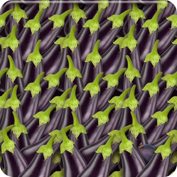 Encontre o figo entre as berinjelas agrupadas de forma alinhada. Desafio visal com muitas berinjelas roxas com cabos verdes organizadas lado a lado, frescas e naturais.