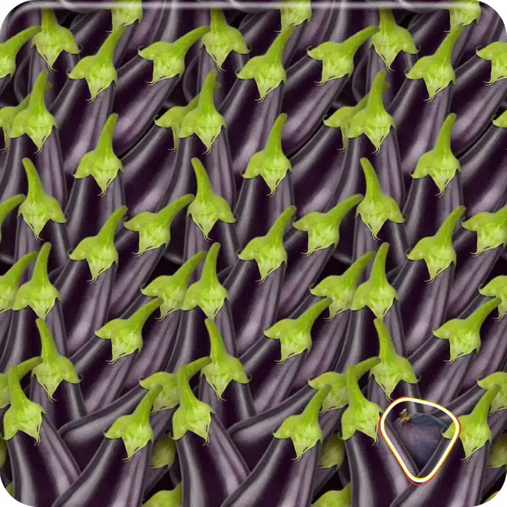 Localize o figo entre as berinjelas organizadas lado a lado Desafio visal com muitas berinjelas roxas com cabos verdes organizadas lado a lado, frescas e naturais.