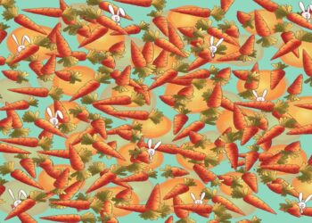 Desafio visual com coelhos brancos escondidos entre muitas cenouras alaranjadas com folhas verdes sobre fundo azul.