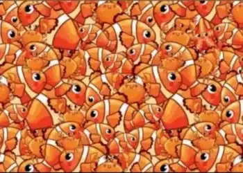 Desafio visual subaquático: encontre a estrela-do-mar em meio aos peixes e caranguejos.