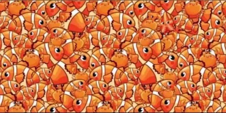 Desafio visual subaquático: encontre a estrela-do-mar em meio aos peixes e caranguejos.