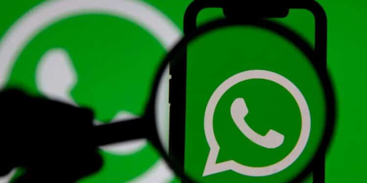 Ícone do WhatsApp ampliado sob uma lupa em fundo verde.