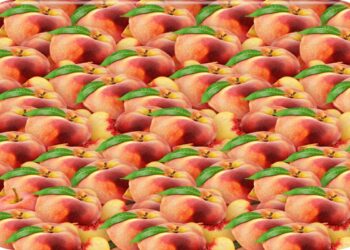 Ilusão de ótica com pêssegos vermelhos e folhagem verde, padrão repetido