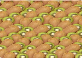 Ilusão de ótica com diversos kiwis inteiros e cortados ao meio exibindo polpa verde com sementes pretas