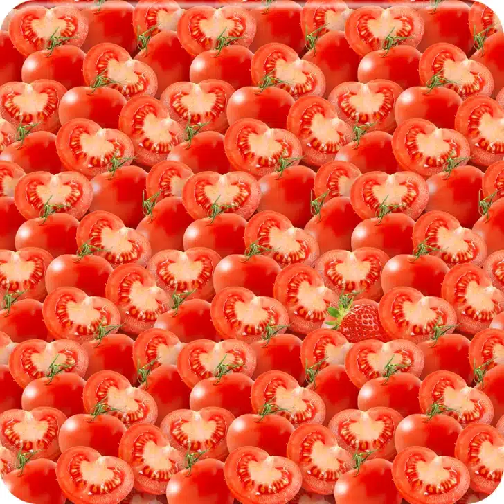 Encontre o morango entre os tomates vermelhos, que estão inteiros e cortados ao meio. Ilusão de ótica com muitos tomates vermelhos inteiros e cortados ao meio em fundo branco