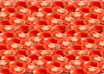 Ilusão de ótica com muitos tomates vermelhos inteiros e cortados ao meio em fundo branco