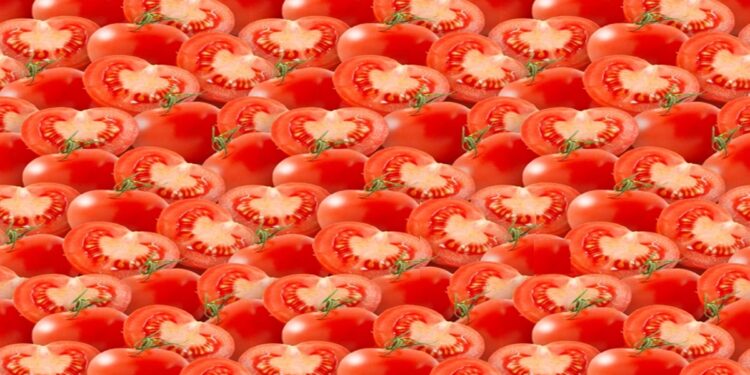 Ilusão de ótica com muitos tomates vermelhos inteiros e cortados ao meio em fundo branco