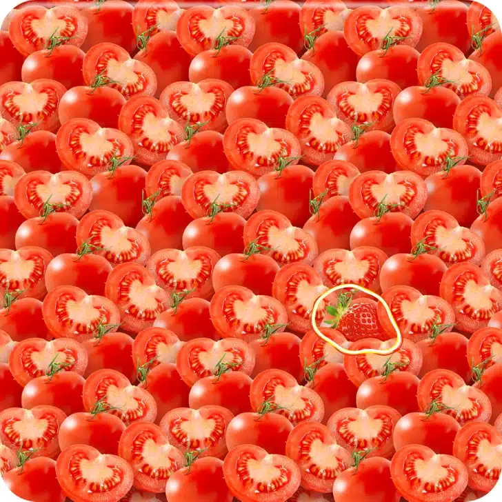 Encontre o morango entre os tomates cortados ao meio Ilusão de ótica com muitos tomates vermelhos inteiros e cortados ao meio em fundo branco