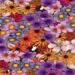 Ilusão de ótica com uma estampa detalhada com flores roxas, laranjas, rosas, lilases e amarelas sobre fundo escuro