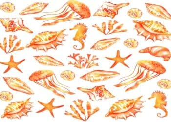 Teste visual com ilustração em aquarela de conchas, cavalos-marinhos, estrelas-do-mar, águas-vivas e algas em tons de laranja