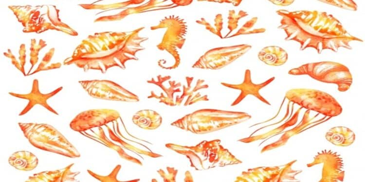 Teste visual com ilustração em aquarela de conchas, cavalos-marinhos, estrelas-do-mar, águas-vivas e algas em tons de laranja