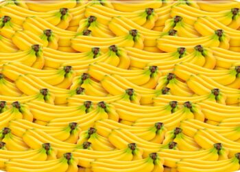 Teste visual com um padrão repetido de cachos de bananas amarelas entrelaçados.