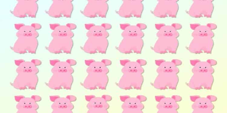 Teste visual com 24 desenhos de porquinhos rosa organizados em grade, sobre fundo em azul e amarelo pastel.