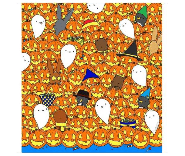 Desafio visual Ilustração colorida com várias abóboras de Halloween, fantasmas e coelhos de cores diferentes escondidos entre elas.