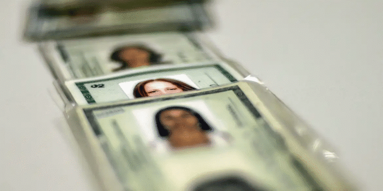 Carteiras de identidade RG enfileiradas aguardando emissão com prazos de validade diferenciados.