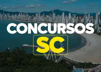 Vista aérea da orla da praia com prédios altos e roda-gigante em Santa Catarina