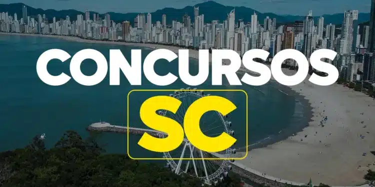 Vista aérea da orla da praia com prédios altos e roda-gigante em Santa Catarina