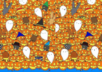 Desenho com abóboras tradicionais de Halloween e vários personagens como fantasmas e coelhos camuflados.