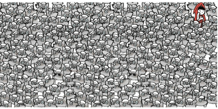 Ilustração com muitos lobos cinzas usando chapéus brancos, um lobo diferente usando óculos azuis e Chapeuzinho Vermelho.