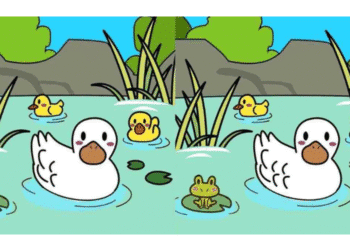 Ilustração colorida de um pato branco, dois patinhos amarelos e uma rã verde em lago tranquilo com plantas e pedras.