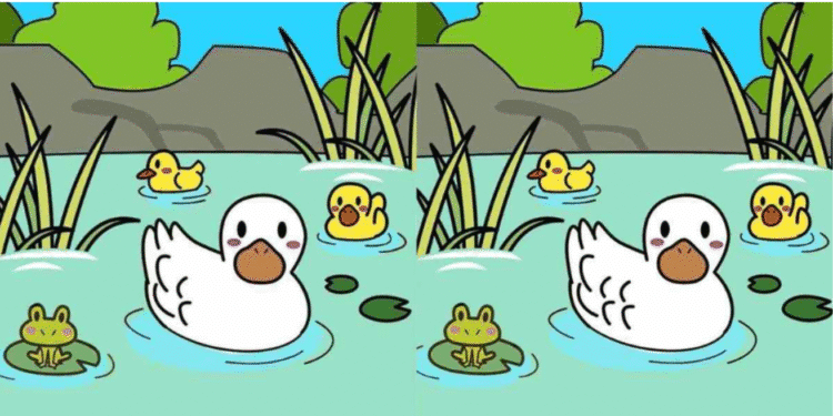 Ilustração colorida de um pato branco, dois patinhos amarelos e uma rã verde em lago tranquilo com plantas e pedras.