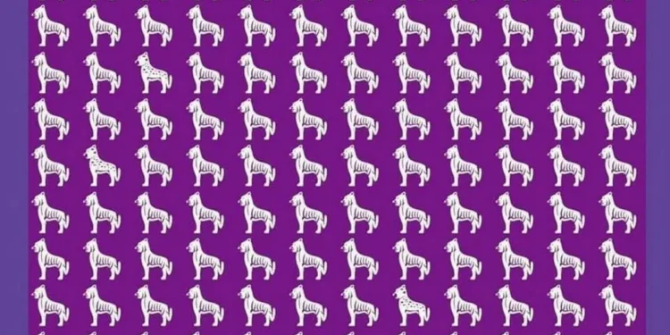 Desafio visual: encontre 3 leopardos escondidos entre tigres, uma ilustração divertida e desafiadora.