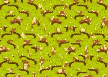 Ilustração de vários crocodilos verdes onde um pequeno urso está escondido entre eles, fazendo parte de um desafio visual.