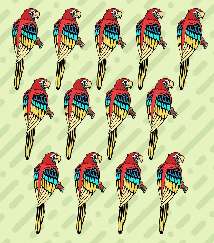 Ache a arara diferente entre as araras coloridas alinhadas em um padrão repetitivo. Desafio visual com uma ilustração de várias araras coloridas em tons de vermelho, azul e amarelo, organizadas em três fileiras sobre fundo bege