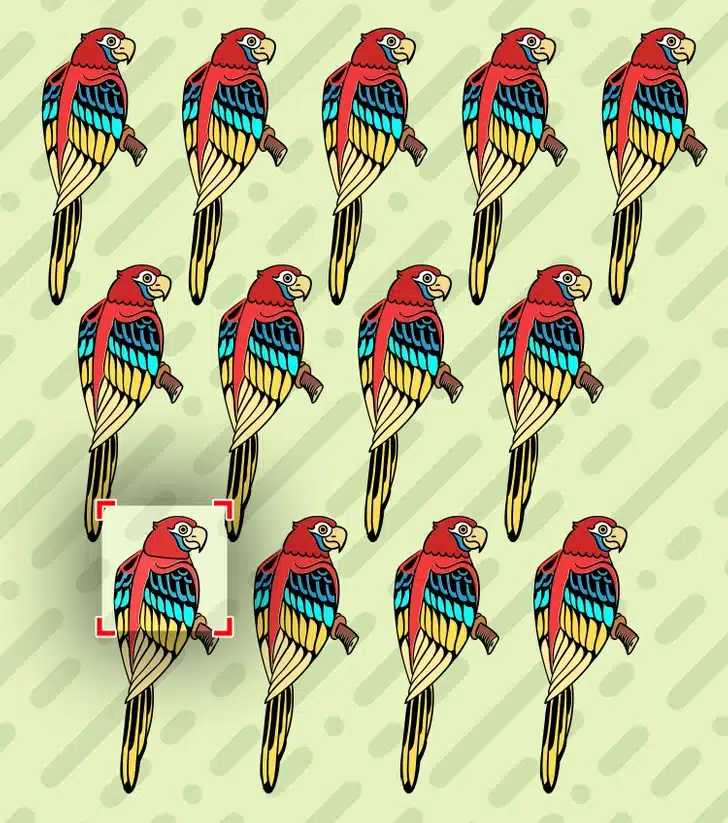 Encontre a arara fora do padrão entre as araras alinhadas em fundo bege Desafio visual com uma ilustração de várias araras coloridas em tons de vermelho, azul e amarelo, organizadas em três fileiras sobre fundo bege