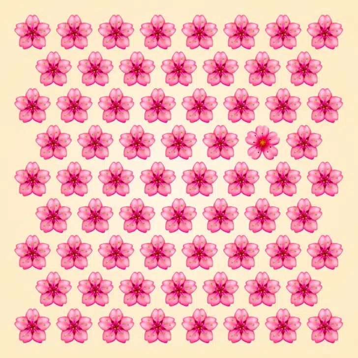 Encontre a flor diferente neste padrão simétrico com flores de cerejeira rosa. Desafio visual padrão repetido de flores de cerejeira rosa sobre fundo bege claro formando linhas regulares