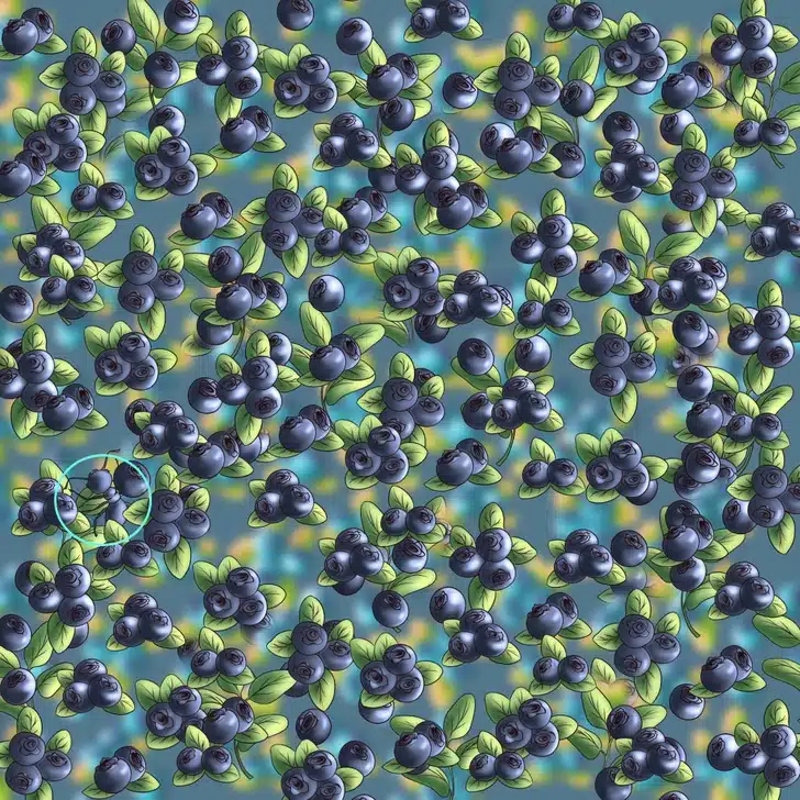 Desafio visual com uma ilustração de mirtilos azuis com folhas verdes em fundo desfocado azul e amarelo