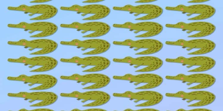 Desafio visual com crocodilos verdes sorridentes desenhados em fundo azul.