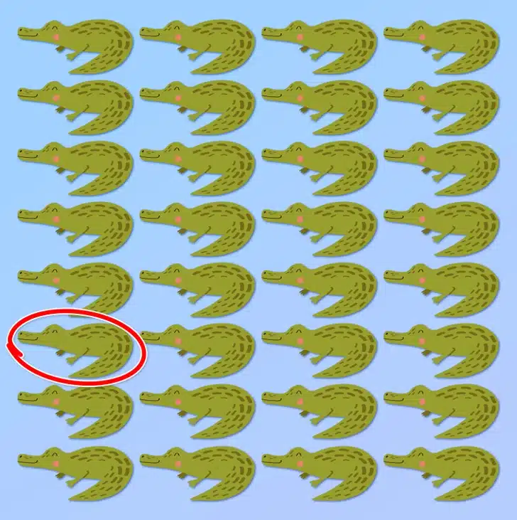 Desafio visual com crocodilos verdes sorridentes desenhados em fundo azul.