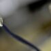 Cabo de internet com conectores RJ45, sugerindo alerta para o fim de práticas ilegais como o 'gatonet' no Brasil.