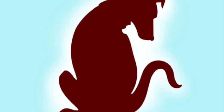 Ilusão de ótica com silhueta marrom que parece um cachorro grande com a silhueta de um gato dentro, fundo azul.