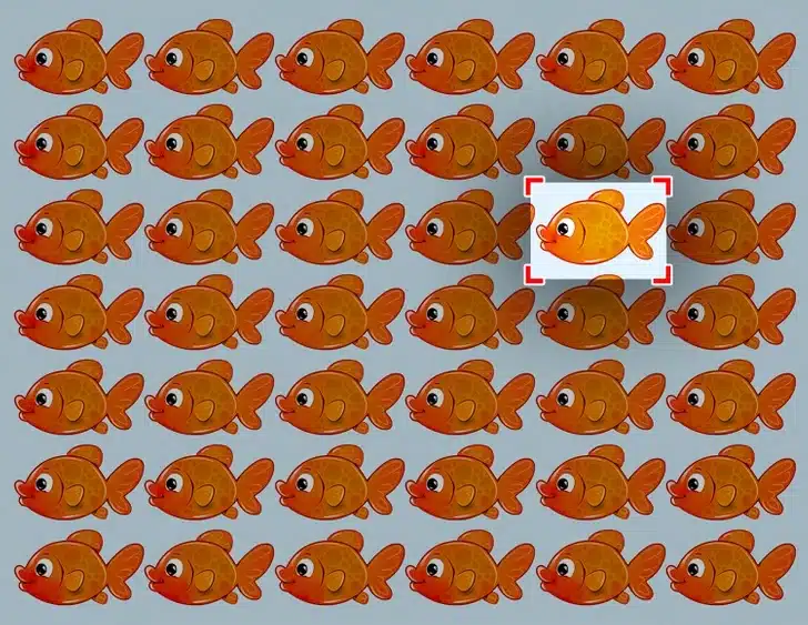 Resposta do desafio visual: peixinho diferente encontrado Peixe diferente destacado em um desafio visual entre vários peixes laranjas idênticos.