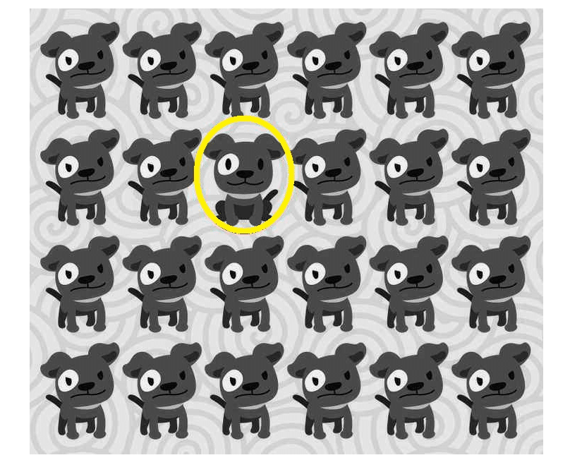  Imagem de vários cachorros pretos desenhados, um com detalhes diferentes destacado por um círculo amarelo.