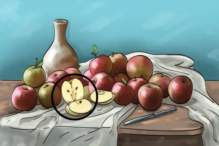 Ache a coruja escondida na imagem com maçãs e uma jarra sobre a mesa. Teste visual com um conjunto de maçãs vermelhas e verdes sobre pano branco com jarra branca e faca sobre mesa de madeira