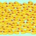 Teste visual com muitos patos amarelos iguais em fundo azul, desafie-se a encontrar a pera escondida entre os patos.