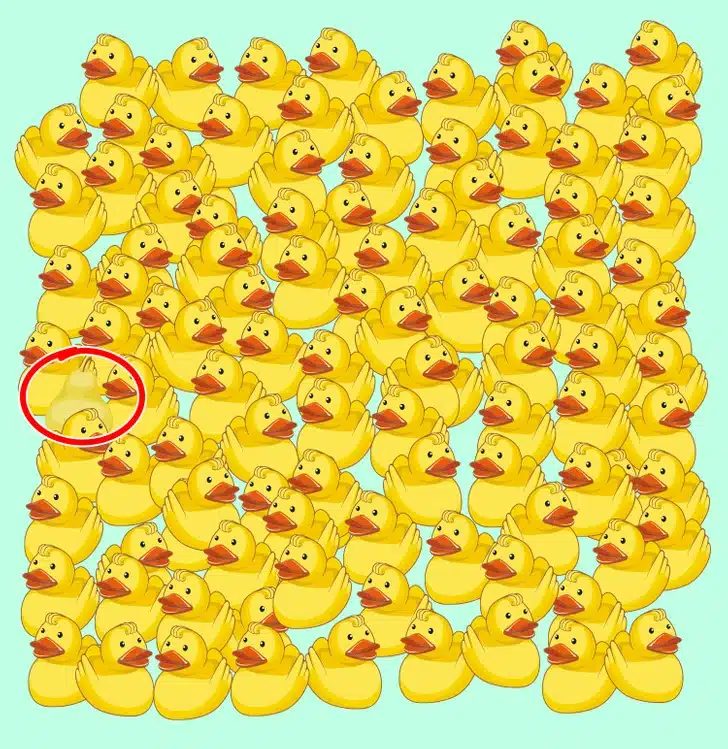 Teste visual com muitos patos amarelos iguais em fundo azul, desafie-se a encontrar a pera escondida entre os patos.