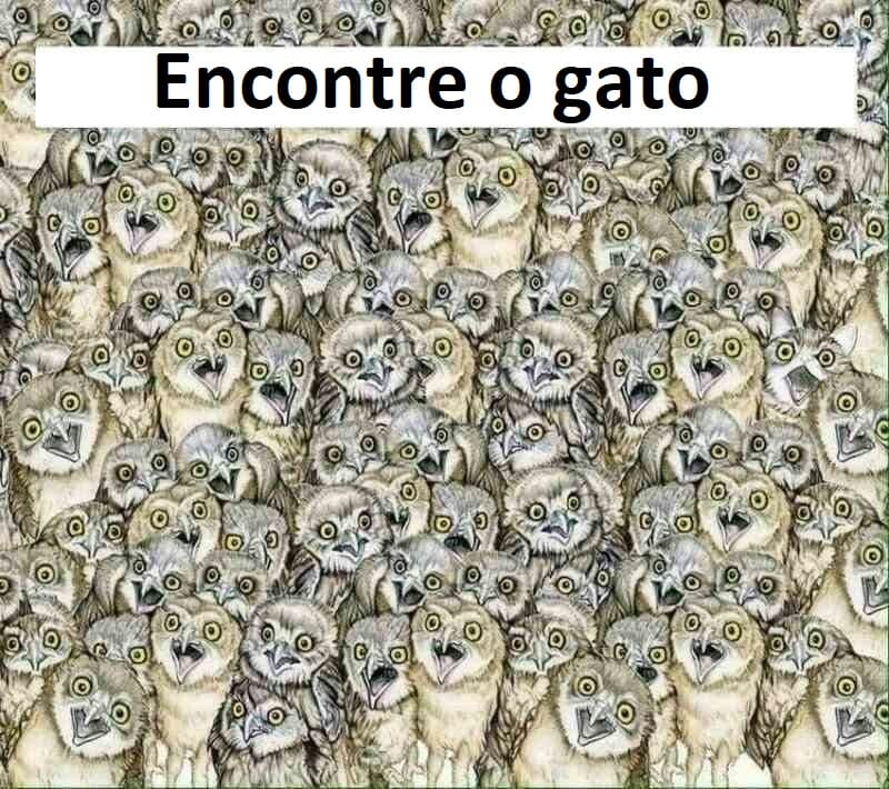 Teste Visual: encontre o gato escondido em até 20 segundos - Notícias ...
