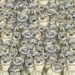 Teste visua com várias corujas empilhadas e um gato escondido entre elas, desafio visual para encontrar o intruso