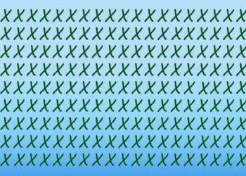 Teste visual com várias letras X verdes espalhadas sobre fundo azul, contendo algumas letras Y escondidas.