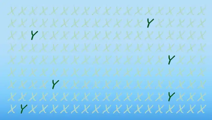 Encontre o Letra Y Oculta entre Letras X Teste visual com várias letras X verdes espalhadas sobre fundo azul, contendo algumas letras Y escondidas.