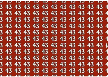 Padrão de números 43 em fundo vermelho com o número 54 invertido e destacado entre eles.