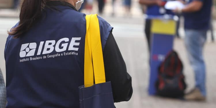 Funcionária do IBGE usando colete azul, máscara e bolsa amarela, realizando trabalho de campo em área urbana