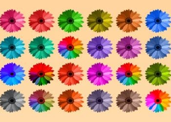 Desafio visual com uma ilustração de 24 flores coloridas em diferentes cores sobre fundo bege