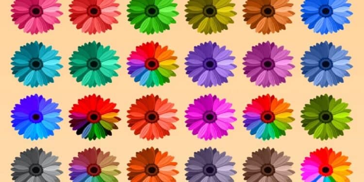 Desafio visual com uma ilustração de 24 flores coloridas em diferentes cores sobre fundo bege